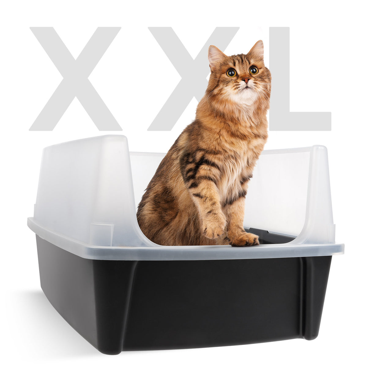 CLH-12XL_Black-Clear_Catalog_Wide_wCat5_XL_copy